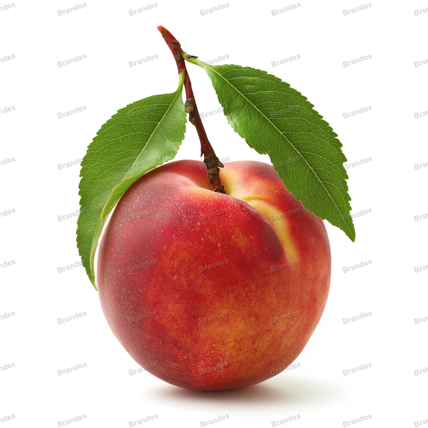 Peach 2