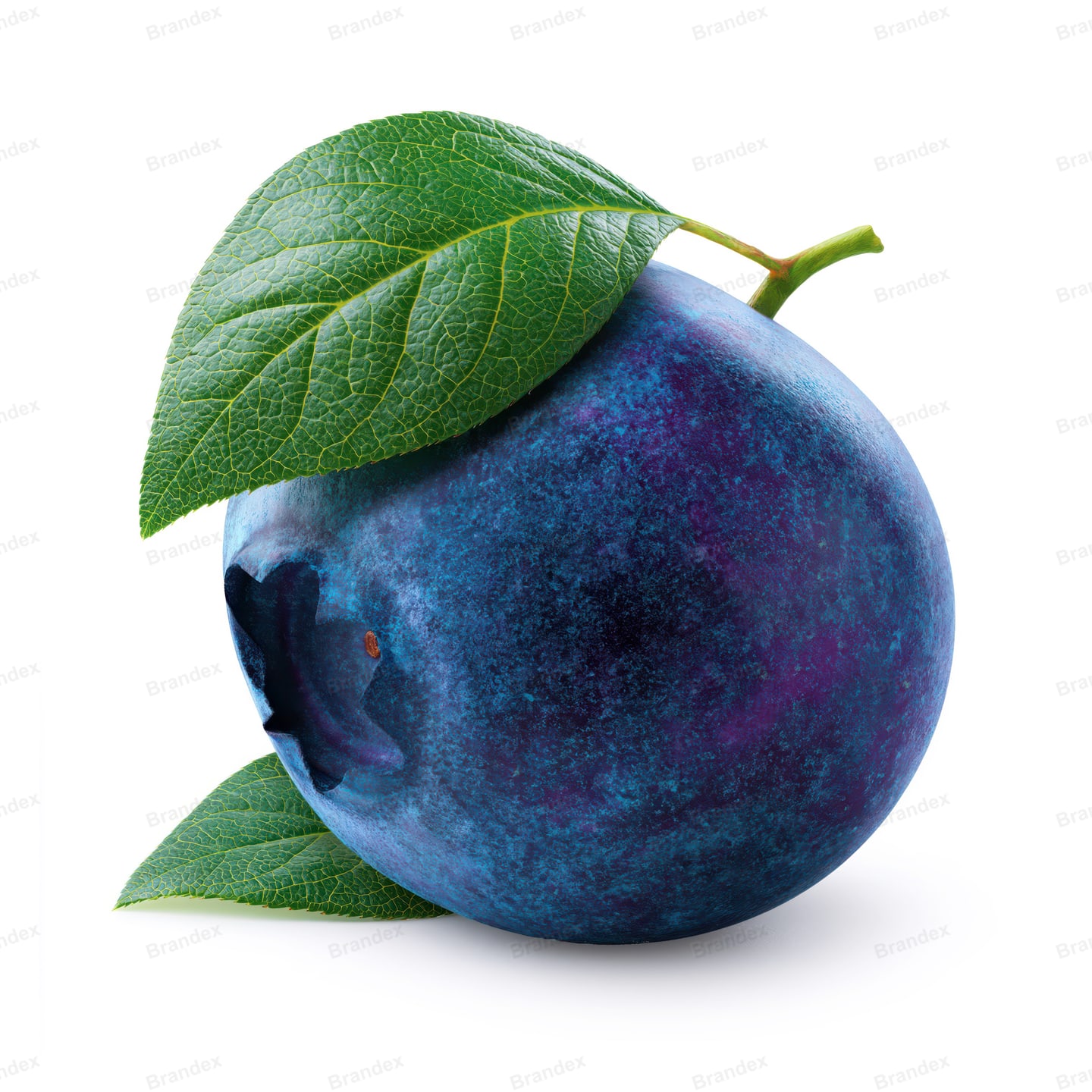 Plum