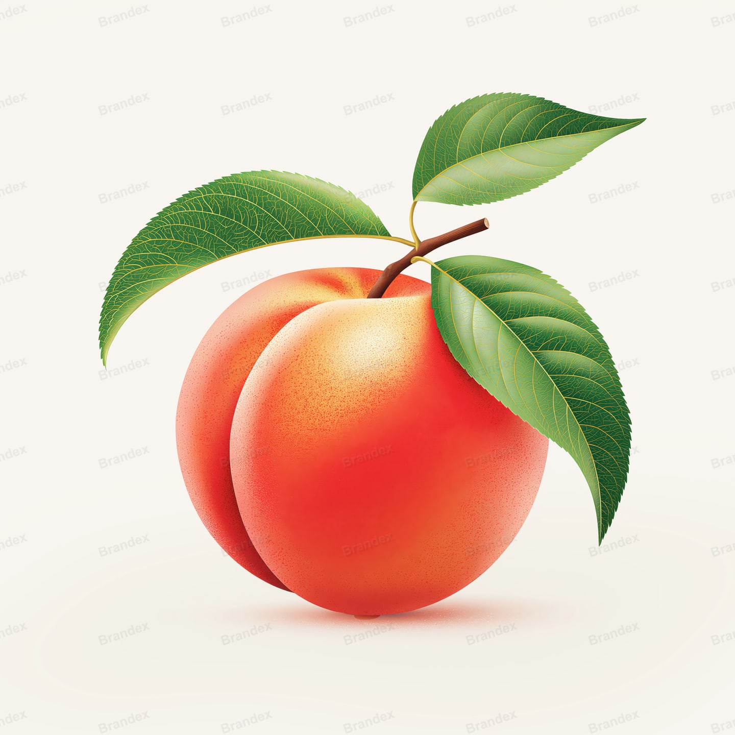 Ripe Peach