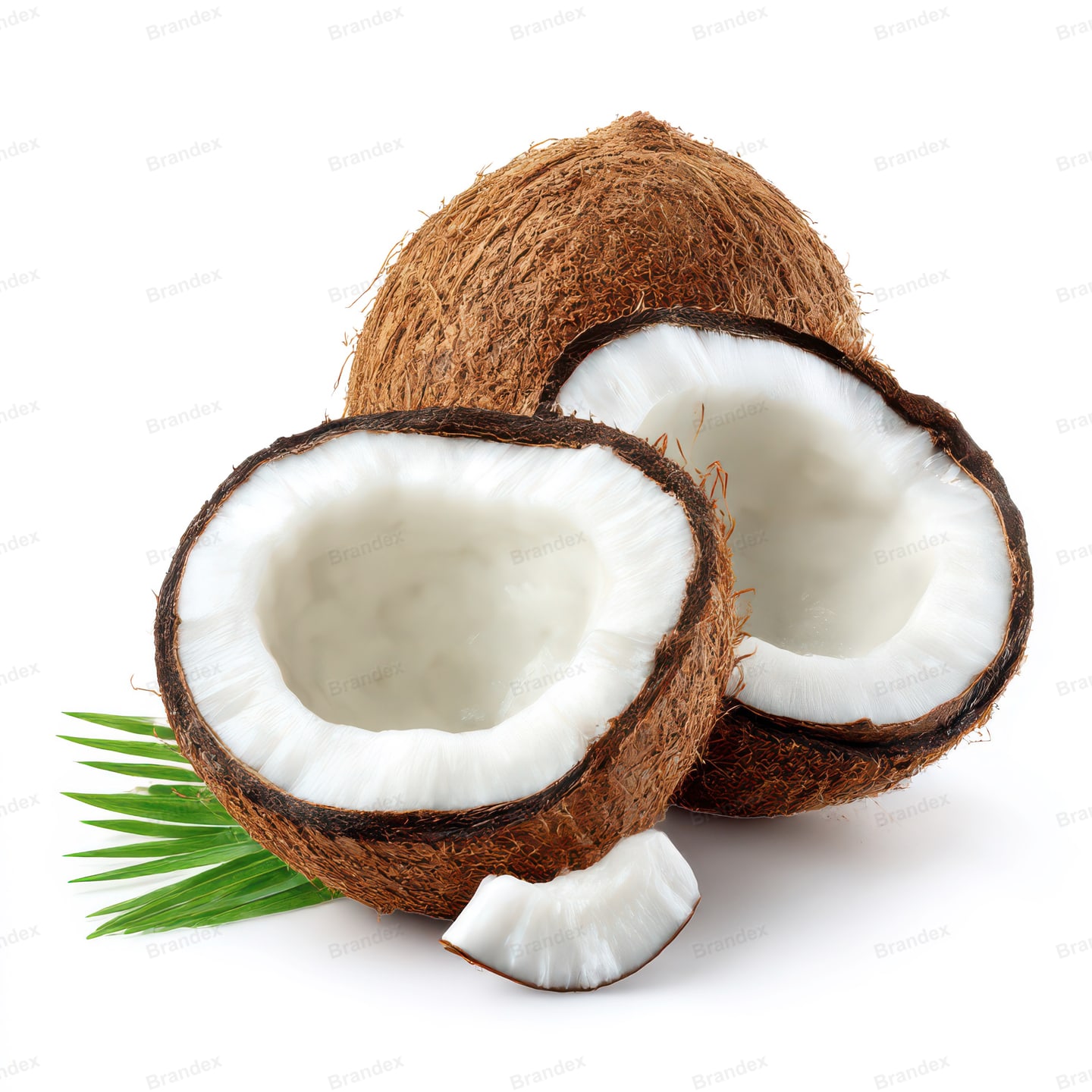 Coconut Halves