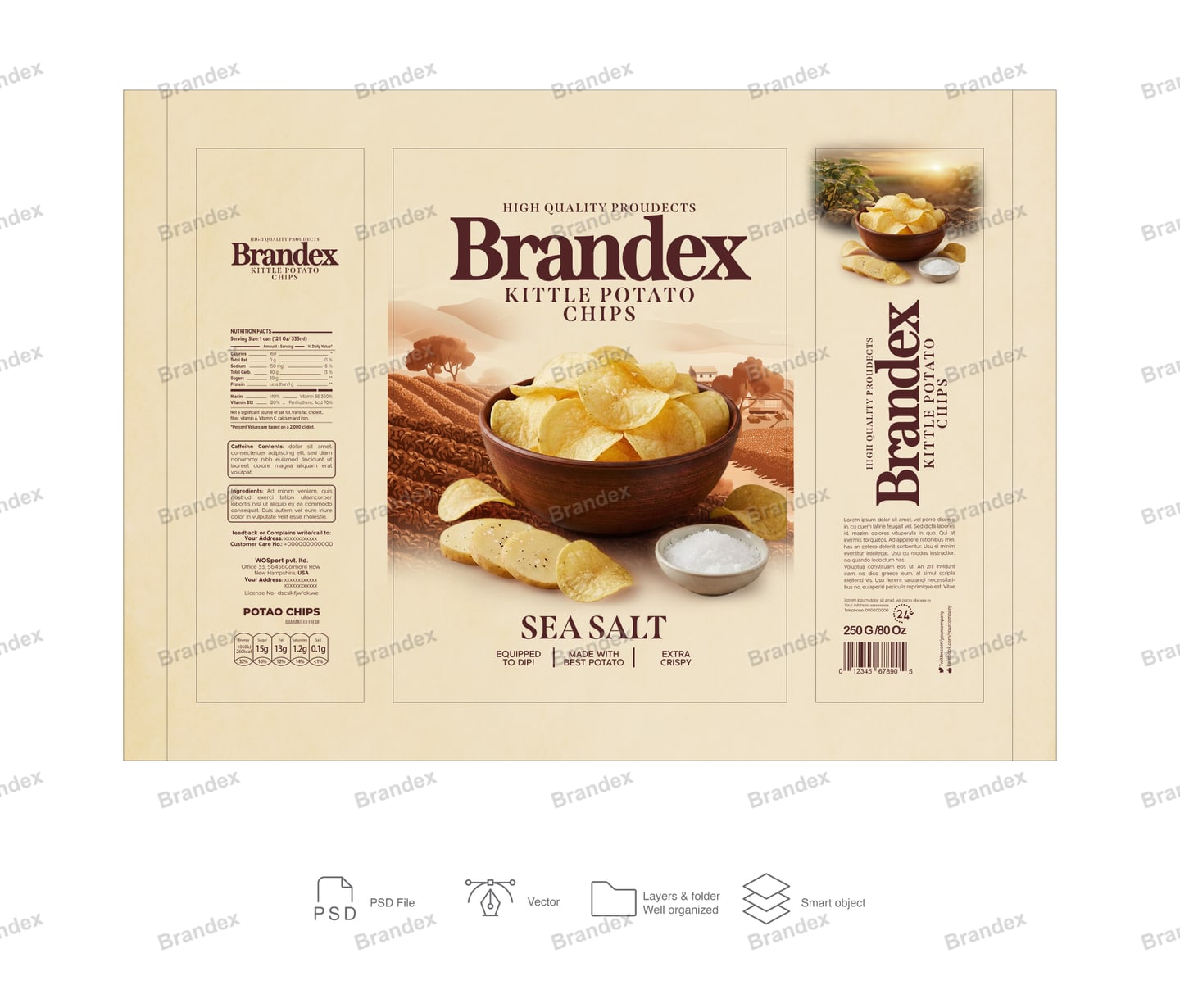 Premium Snack Brand – Sea Salt Potato Chips Packaging Template