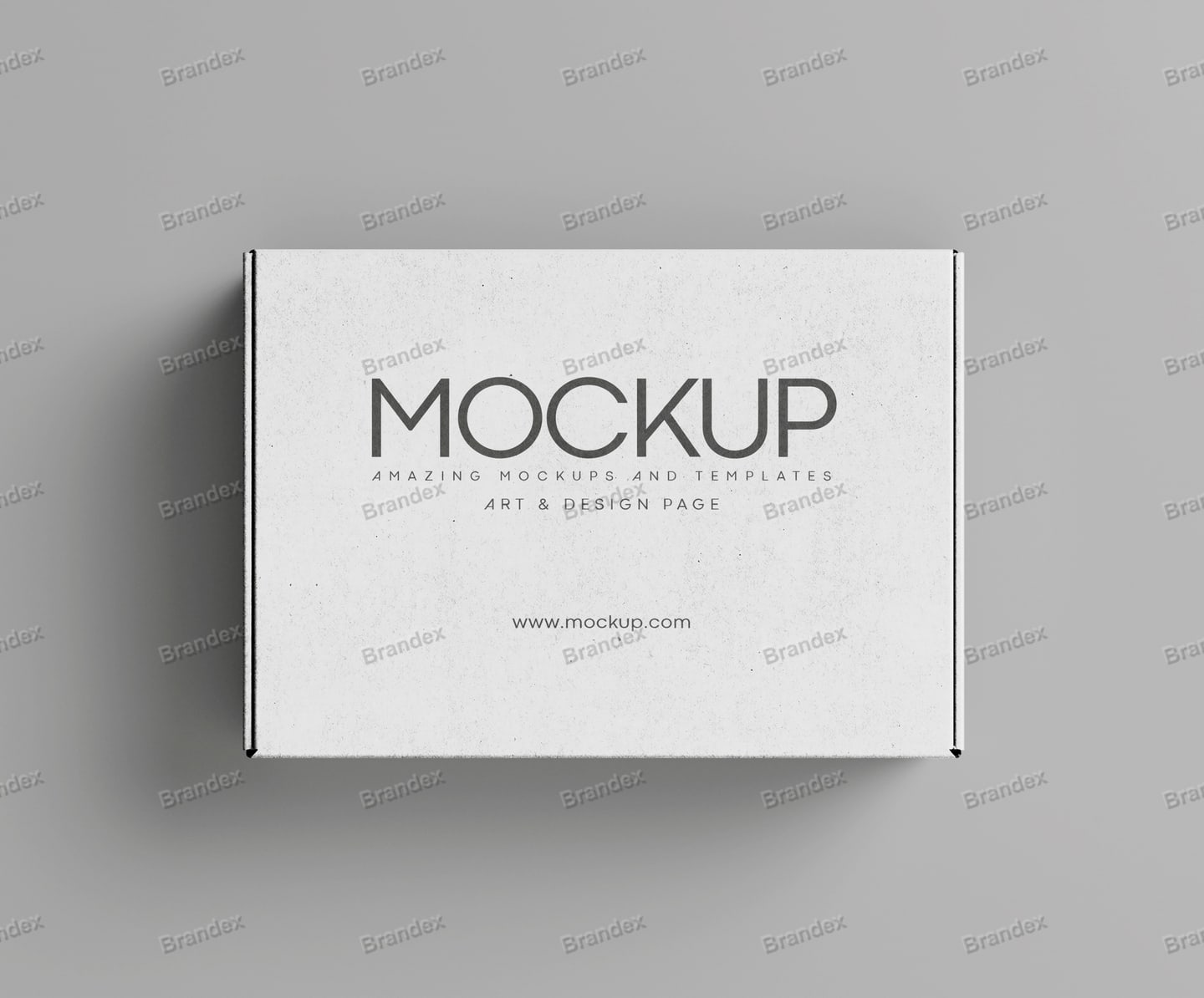 White Corrugated Shipping Box Packaging Mockup Studio View