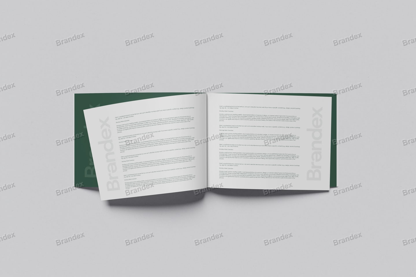 Minimalist Open A4 Booklet Mockup Gray Background