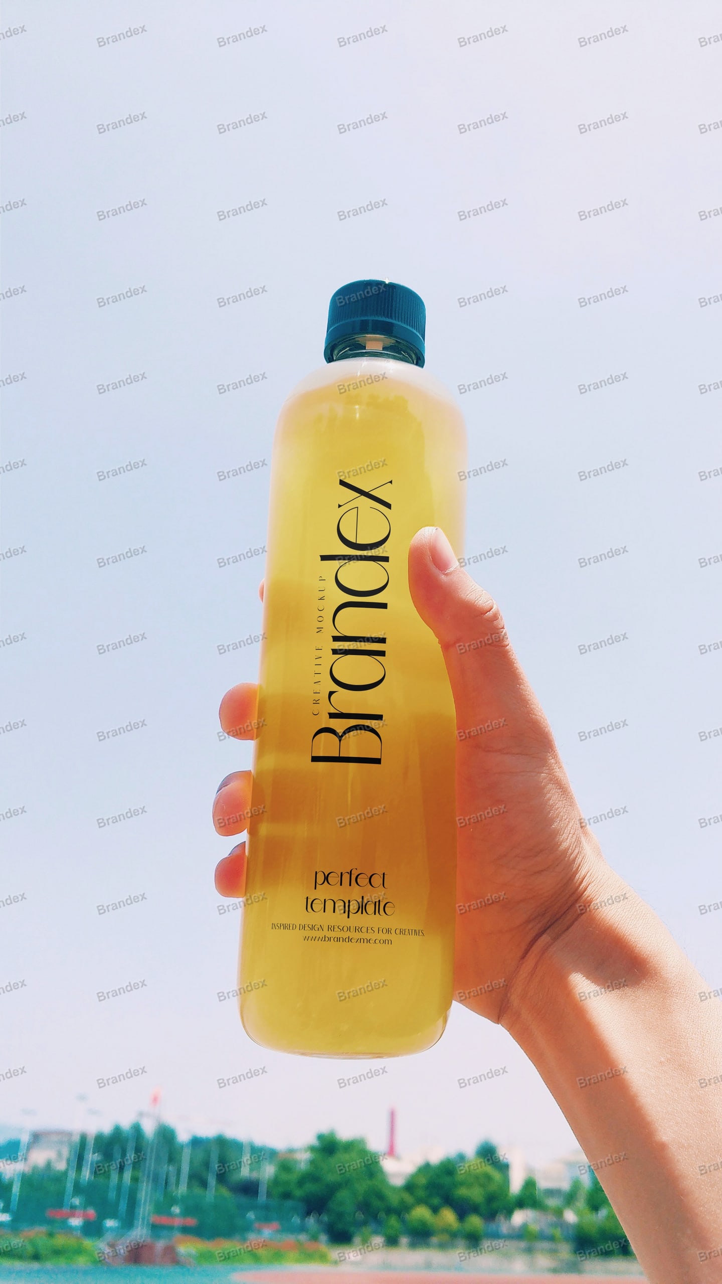 Sleek Clear Beverage Bottle Outdoor Mockup