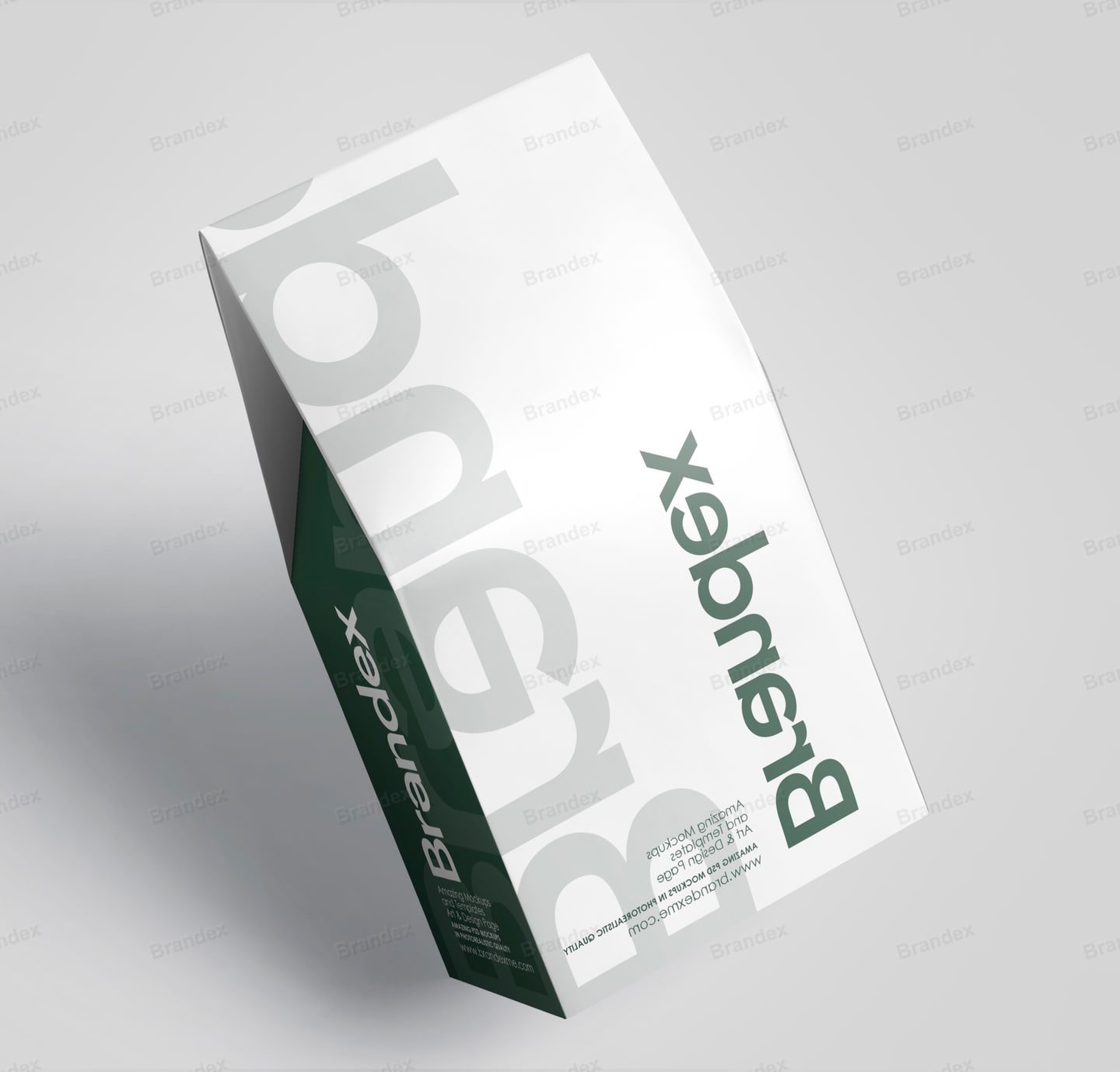 Modern Coffee Bag – Minimalist Matte Resealable Pouch Mockup