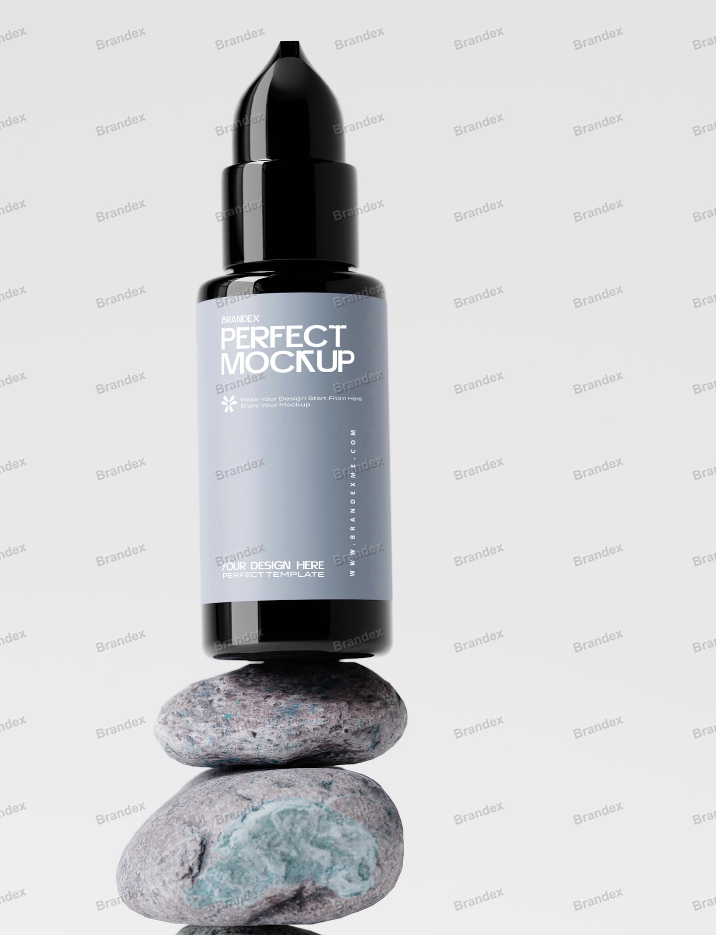 Sleek Black Dropper Bottle Mockup on Balanced Stones for Branding