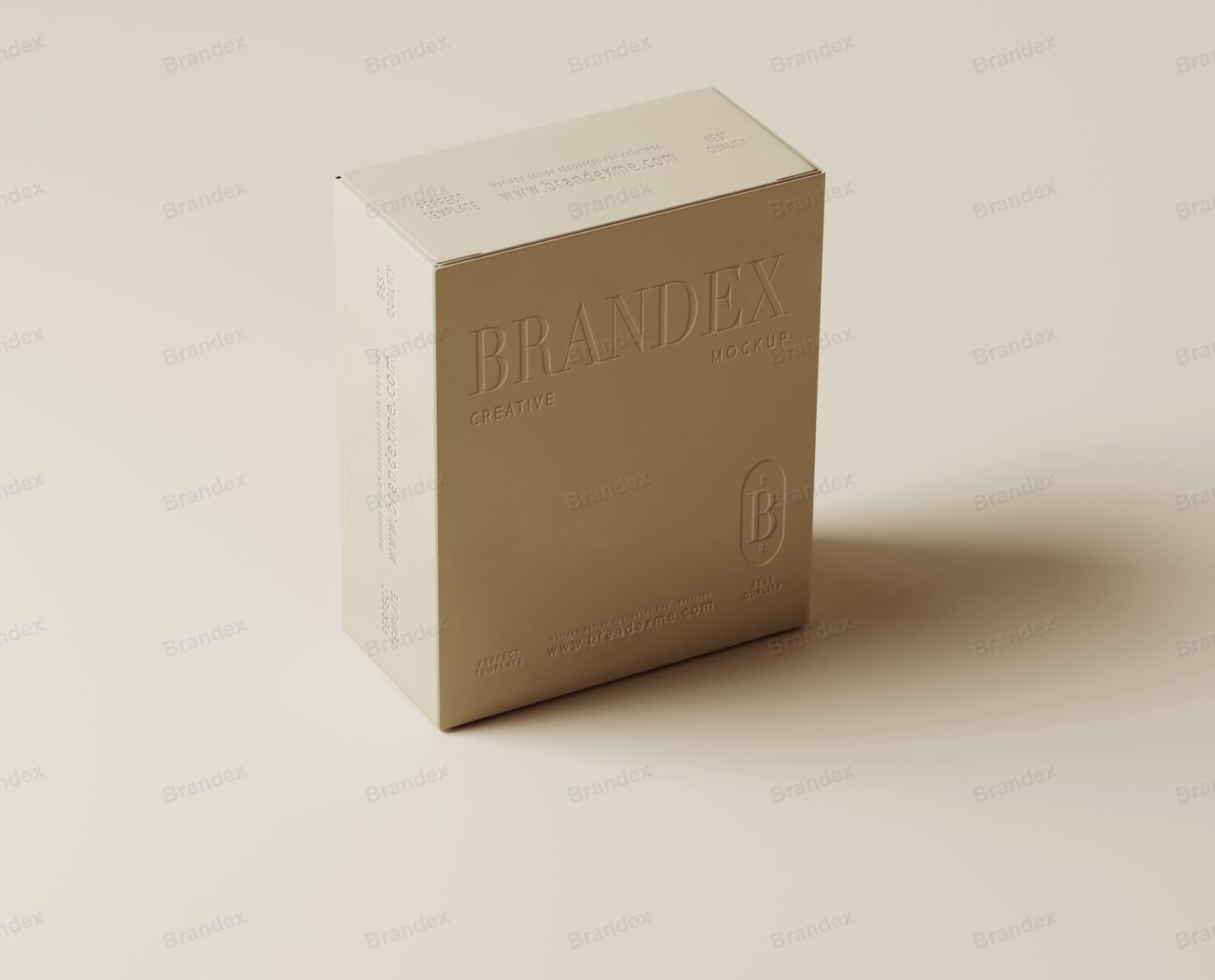 Beige Embossed Product Packaging Box Mockup Branding Presentation