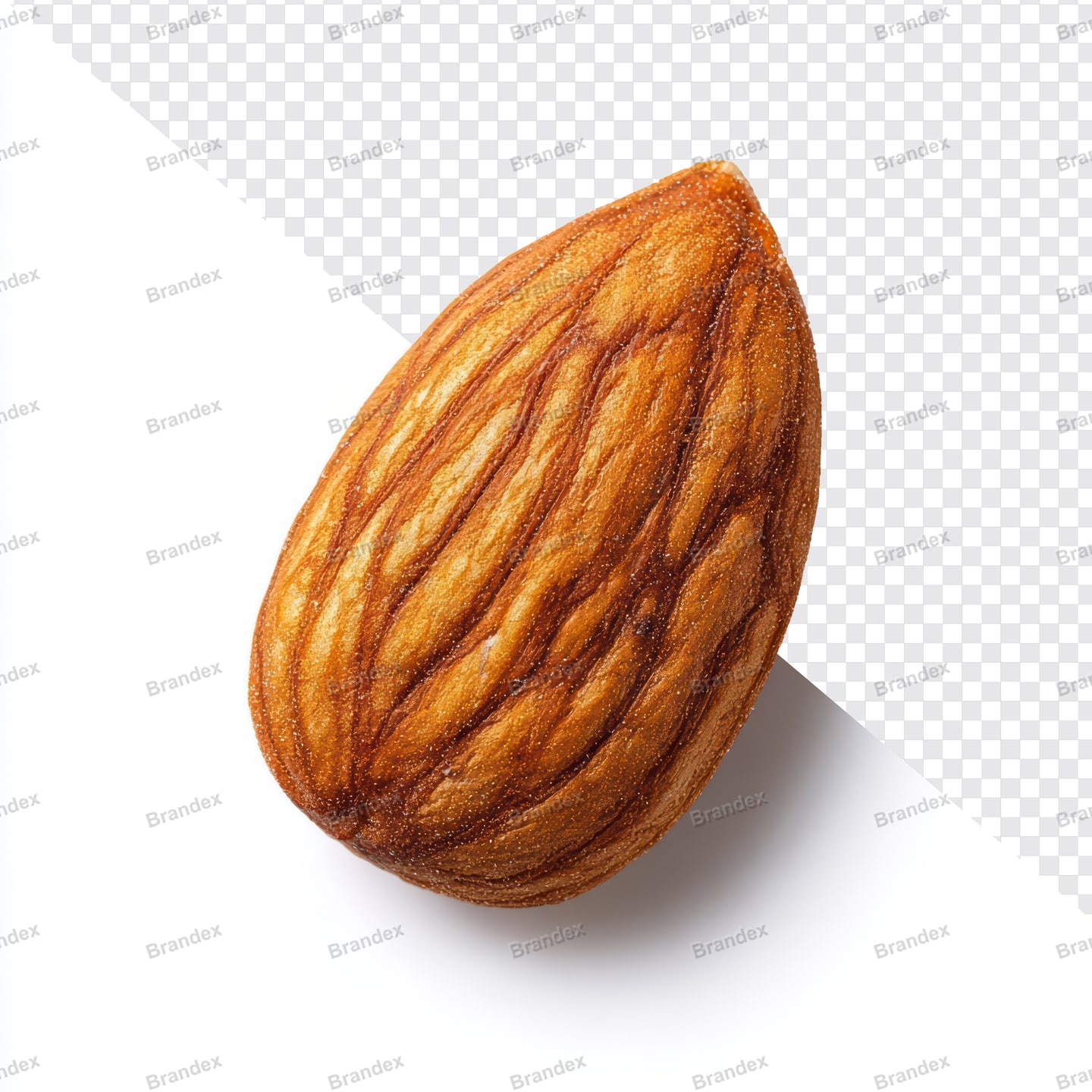 Realistic Almond Nut Mockup